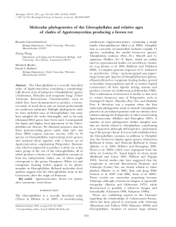 Molecular phylogenetics of the Gloeophyllales and relative ages of