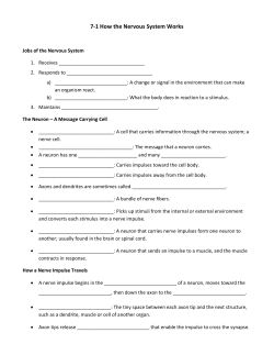 Ch. 7 and 8 Nervous and Endocrine Systems Study Guide