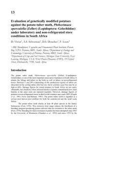 Evaluation of genetically modified potatoes against the potato tuber