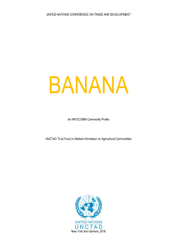 BANANA - Unctad