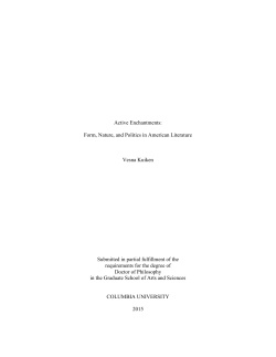 2 MB - Academic Commons