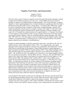 Negation, Word Order, and Interpretation
