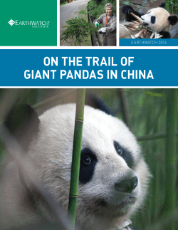 On the Trail of Giant Pandas in China
