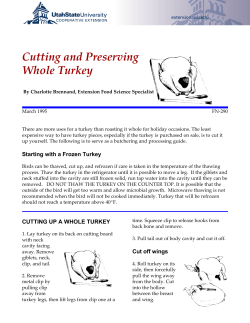 Cutting and Preserving Whole Turkey