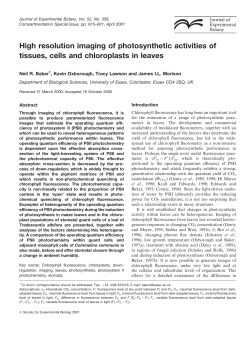 High resolution imaging of photosynthetic