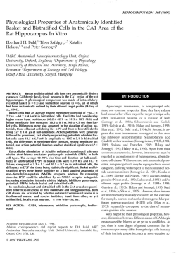 Physiological Properties of Anatomically
