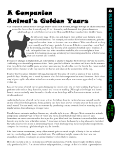 Golden Years - Santa Cruz SPCA
