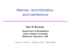 Meiosis, recombination, and interference