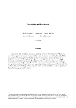 Expectations and Investment