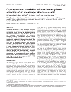Cap-dependent translation without base-by