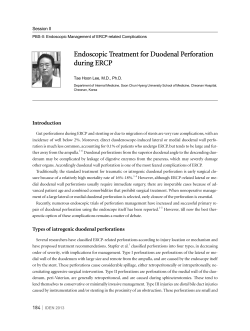 Endoscopic Treatment for Duodenal Perforation during ERCP