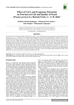 Effect of CaCl2 and Exogenous Putrescine on Post