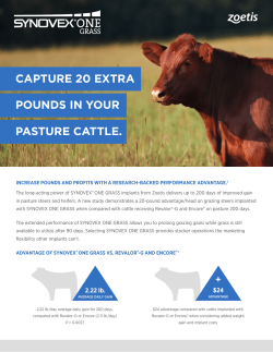 CAPTURE 20 EXTRA POUNDS IN YOUR PASTURE CATTLE.