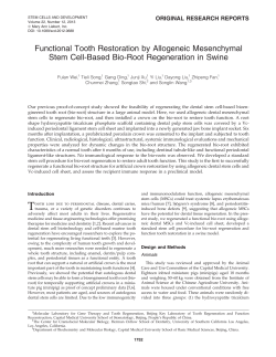 Functional Tooth Restoration by Allogeneic Mesenchymal Stem Cell