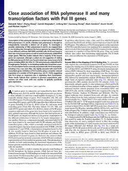 Close association of RNA polymerase II and many transcription