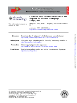 Phagocytosis Required for Alveolar Macrophage Clathrin