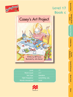 Casey`s Art Project Teacher Notes