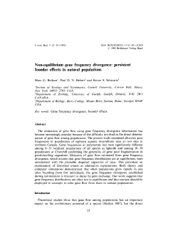 Non-equilibrium gene frequency divergence: persistent founder