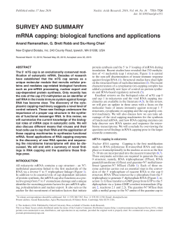 mRNA capping: biological functions and