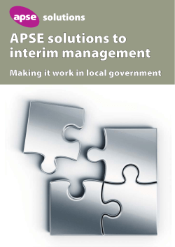 APSE Solutions to Interim Management
