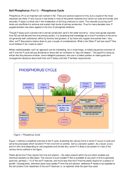 Soil Phosphorus (Part 2) &ndash; Phosphorus Cycle