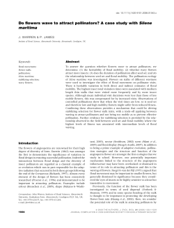 Do flowers wave to attract pollinators? A case study with