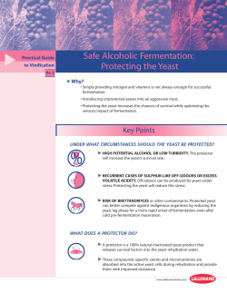 Safe Alcoholic Fermentation: Protecting the Yeast