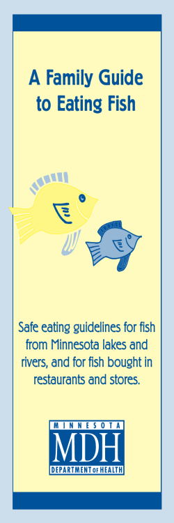 Family Guide to Eating Fish Brochure
