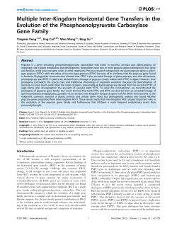 Multiple Inter-Kingdom Horizontal Gene Transfers in the Evolution of