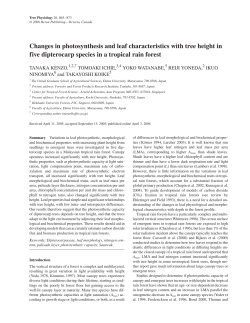 Changes in photosynthesis and leaf