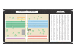 Map of the Southern Cross Cemetery
