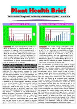 Plant Health Brief