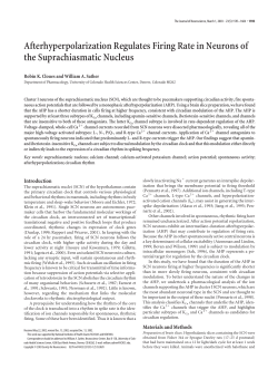 Afterhyperpolarization Regulates Firing Rate in Neurons of the