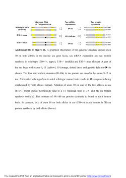 Additional file 1: Figure S1. A graphical illustration of the genomic