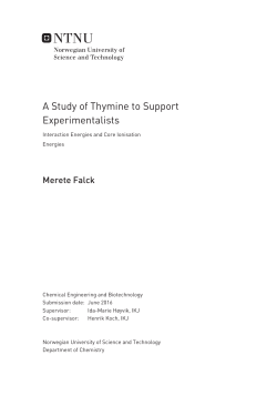 A Study of Thymine to Support Experimentalists