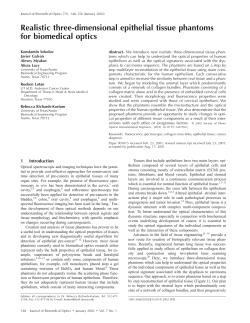 Realistic three-dimensional epithelial tissue phantoms