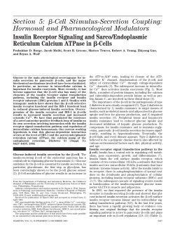 &szlig;-Cell Stimulus-Secretion Coupling