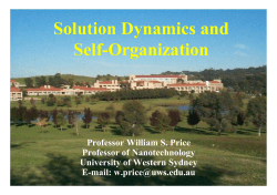 Solution Dynamics and Self