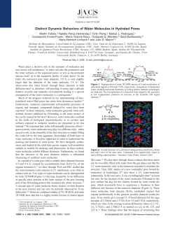 Distinct Dynamic Behaviors of Water Molecules in Hydrated Pores