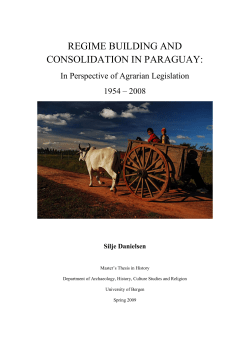 regime building and consolidation in paraguay - (BORA)