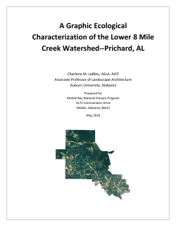 A Graphic Ecological Characterization of the Lower 8 Mile Creek