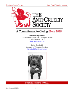 Cat Adoption Room Training - Anti