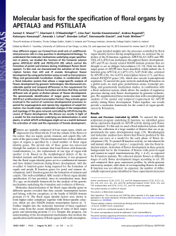 Molecular basis for the specification of floral organs by APETALA3