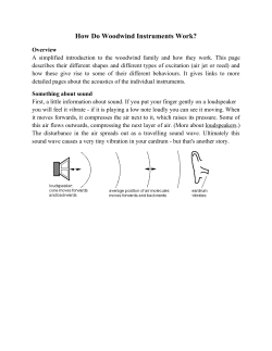 How Do Woodwind Instruments Work?