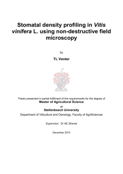Stomatal density profiling in Vitis vinifera L. using non