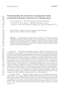 Understanding the dynamics of segregation bands of simulated