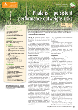 Phalaris &mdash; persistent performance outweighs risks
