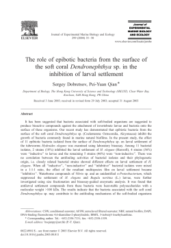 The role of epibotic bacteria from the surface of the soft coral