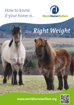 our Right Weight leaflet