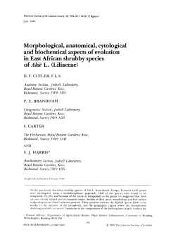 Morphological, anatomical, cytological and biochemical aspects of